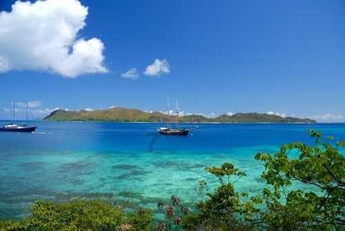 虫虫助手下载