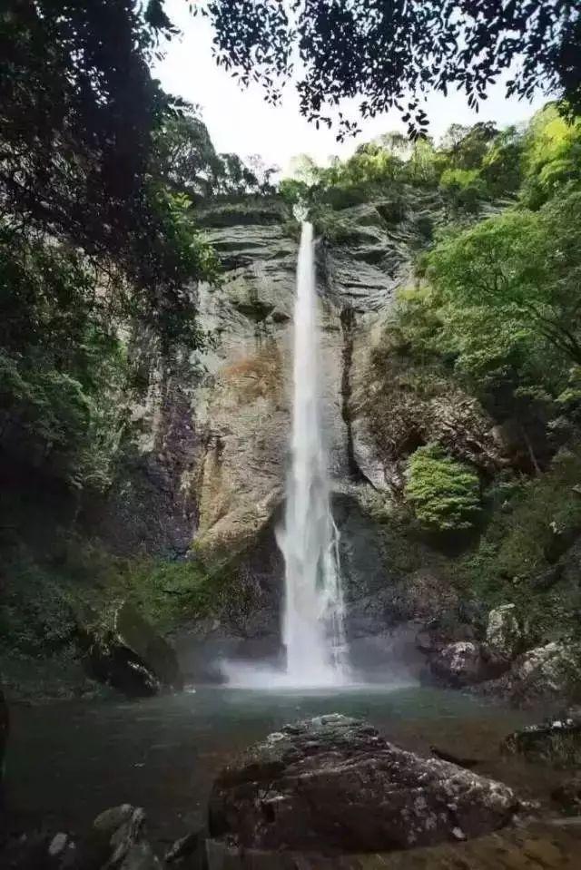 雷竞技比分